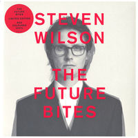 Виниловая пластинка Steven Wilson – The Future Bites