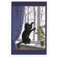 Открытка. Фауна. Животные. Черный кот. Кошечка. Муха. Герань. пеларгония. Окно. Худ. Т.Родионова (чистая)