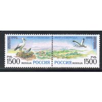 Европа СЕРТ Мир и свобода! Россия 1995 год (252-253) серия из 2-х марок в сцепке