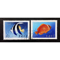 Корея. КНДР 1986 г. Тропические рыбы. Фауна, полная серия из 2 марок #0259-Ф1P56