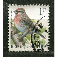 Певчие птицы. 1992. Бельгия