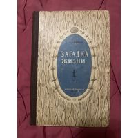 Сафонов. Загадка жизни. 1947 год