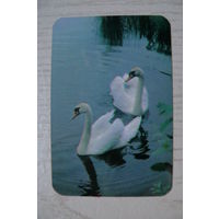 Календарик, 1989, Белые лебеди.