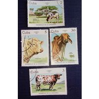 Набор марок Куба 1984 Коровы