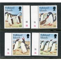 Фолклендские острова. Папуанский пингвин