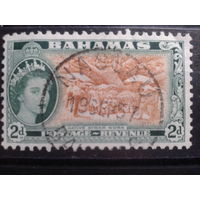 Багамы 1954 Королева Елизавета 2, стандарт