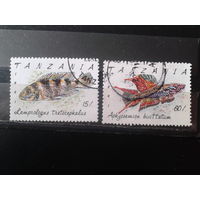 Танзания 1991 Рыбы