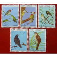 Куба. Птицы. ( 5 марок ) 1977 года. 4-4.