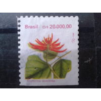Бразилия 1993 Стандарт, цветы Михель-1,0 евро гаш