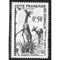 Французское Сомали. Фауна. Антилопа геренук