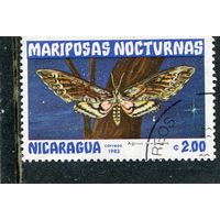 Никарагуа. Бабочки