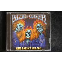 Blue Cheer – What Doesn't Kill You... (2007, CD)