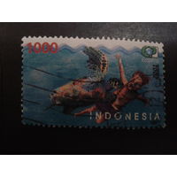 Индонезия 2001 плавание с черепахой