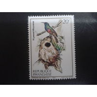 Руанда 1983 птица
