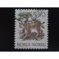 Норвегия 1991 рысь