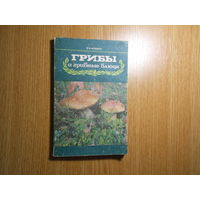 Фомина В. И. Грибы и грибные блюда