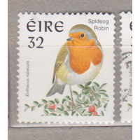 Птицы Фауна Ирландия   лот 1005