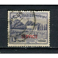 Пакистан - 1963/1970 - Надпечатка SERVICE на 13Р. Dienstmarken - [Mi.102d] - 1 марка. Гашеная.  (LOT Dj7)