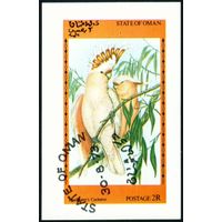 Попугаи штат Оман 1973 год блок из 1 беззубцовой марки