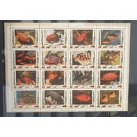 Тропические рыбы Полная серия 16м мл ОАЭ Умм-эль-Кайвайн 1972 - Mi 1466-1481