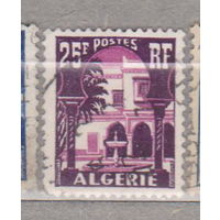 Французские колонии архитектура флора пальмы Алжир 1954-1955 год лот 1012