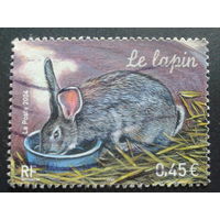 Франция 2004 кролик