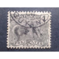 Гвиана фр. колония 1904 фауна