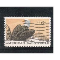 США-1970, (Мих.999) , гаш. , Фауна, Орел