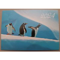 Пингвины. Календарик, 2024, глянец