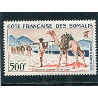 Французское Сомали. Фауна. Караван