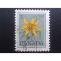 Канада 1977 цветок