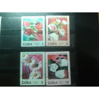 Куба 1988 Цветы