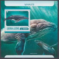 2017 Сьерра-Леоне 8589/B1246 Морская фауна - Киты 11,00 евро