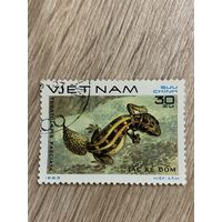 Вьетнам 1983. Рептилии. Teratolepis fasciata. Марка из серии