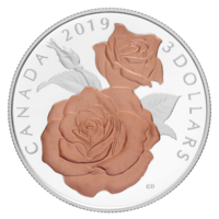 Канада 3 доллара 2019г. "Цветущая роза". Rose Gold. Монета в капсуле; подарочной футляре; номерной сертификат; коробка. СЕРЕБРО 7,96гр.(1/4 oz).