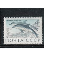 СССР-1971, (Заг.3964) ** , Фауна, Дельфины,
