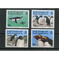 Южная Георгия. Золотоволосый пингвин