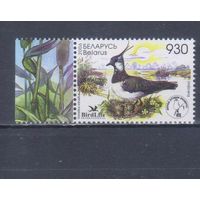 [863] Беларусь 2006. Фауна.Птица года.Чибис. Одиночный выпуск. MNH