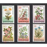 Румыния (Romana) 1993. Лекарственные растения   MNH