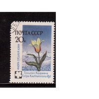 СССР-1960, (Заг.2409)  гаш.,  Цветы