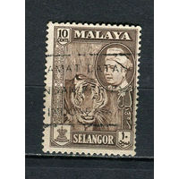 Малайские штаты - Селангор - 1957/1961 - Султан Хисамуддин Алам Шах и тигр 10С - [Mi.84a] - 1 марка. Гашеная.  (Лот 55FC)-T25P11