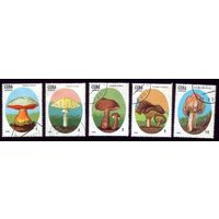 5 марок 1988 год Куба Поганки 3156-3160