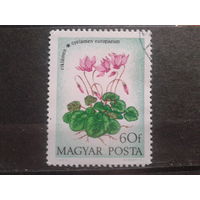 Венгрия 1973 цветы