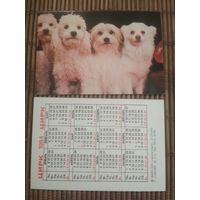 Карманный календарик.1984 год. Цирк. Собаки