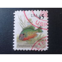США 1992 стандарт, рыба