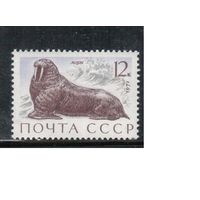 СССР-1971, (Заг.3967) ** , Фауна, Морж