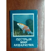 "Пестрый мир аквариума. Карповые" Комплект из 18 цветных открыток