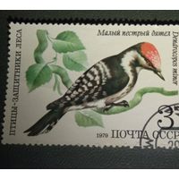 Марка СССР Птицы 1979