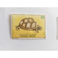 Тунис  1984  черепаха