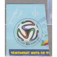 Спорт футбол Россия 2014 год лот 1026